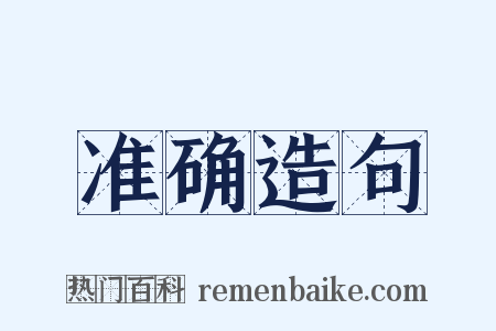 准确造句是什么意思的图片